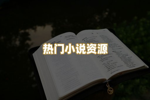 热门小说资源
